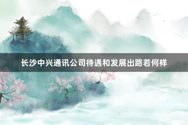 长沙中兴通讯公司待遇和发展出路若何样